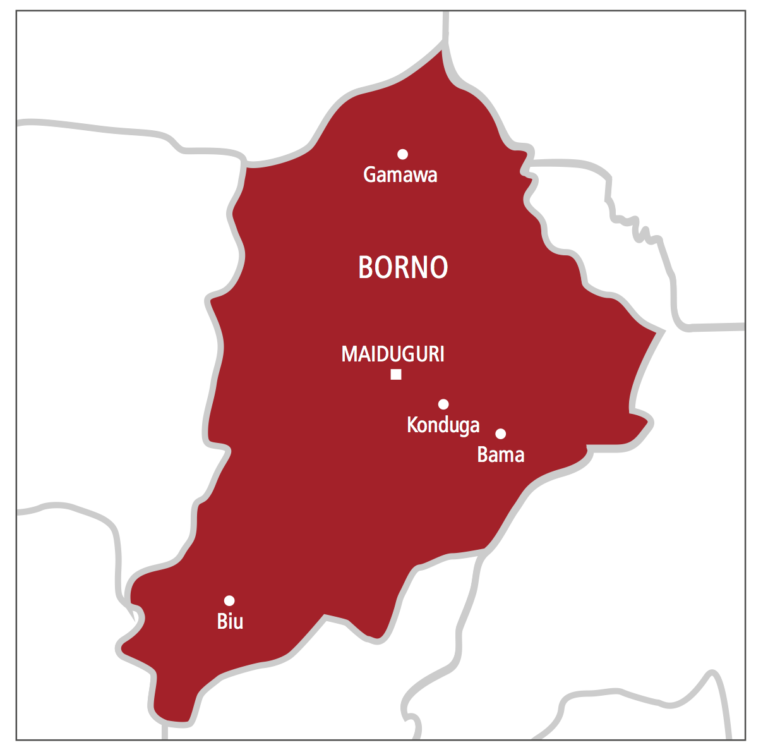 Pregnant woman killed in failed attempt to kidnap husband, others in Borno