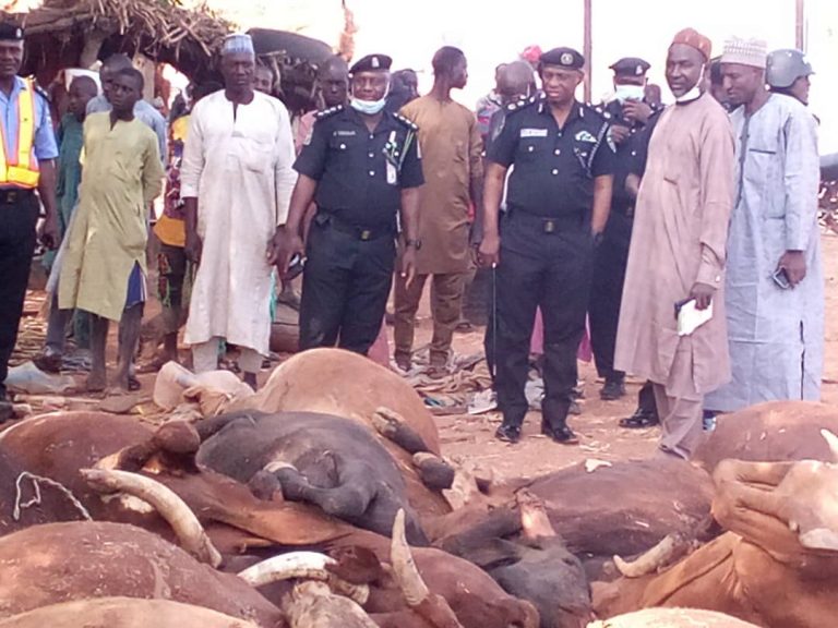 Road accident claims lives of 14 persons, 22 cows in Kebbi