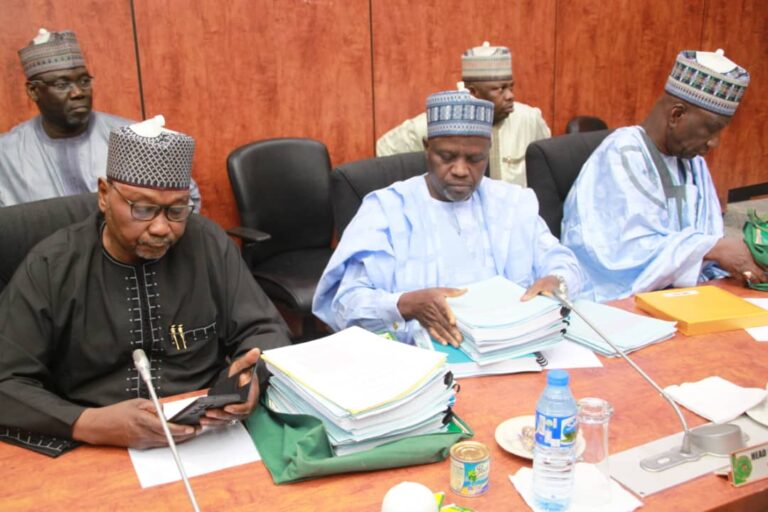 Yobe Executive Council approves N3.1b for procurement, installation of 2880 units of solar light