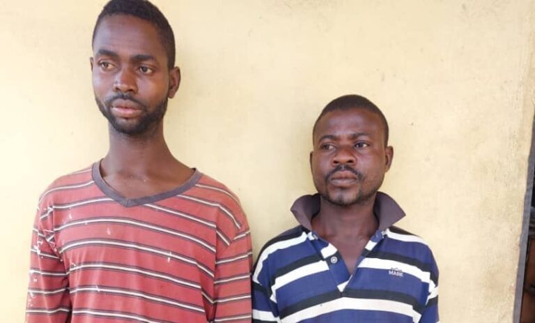 Brothers in police net for kidnapping mother, son for rituals in Ogun