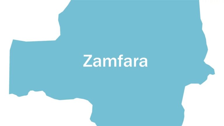 8 arrested for sodomy, robbery in Zamfara