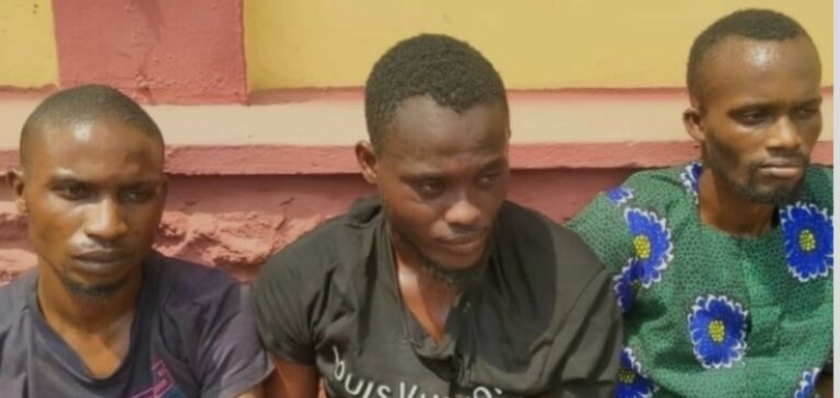 How driver killed couple, son for refusing to increase his salary in Ogun