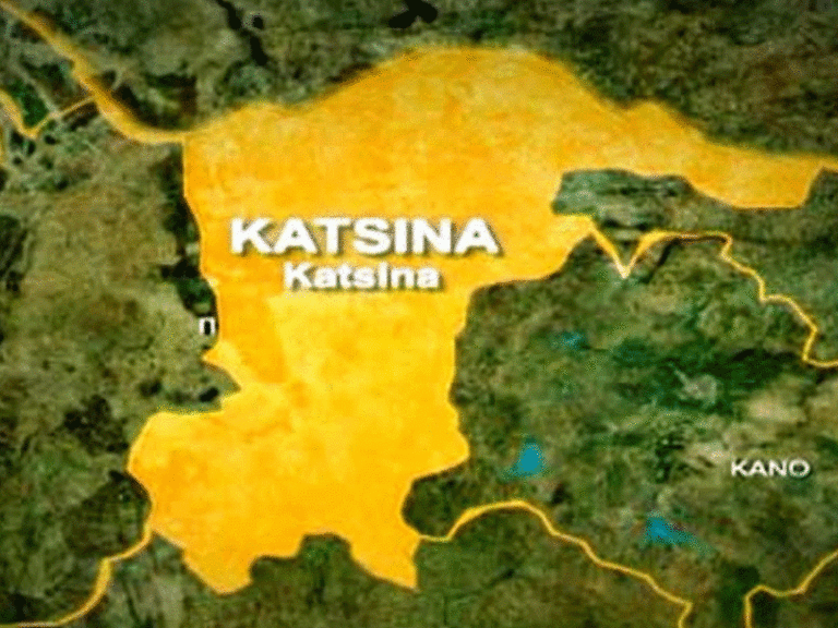 Katsina police launch manhunt as terrorists kill 8 traders, kidnap 2 others