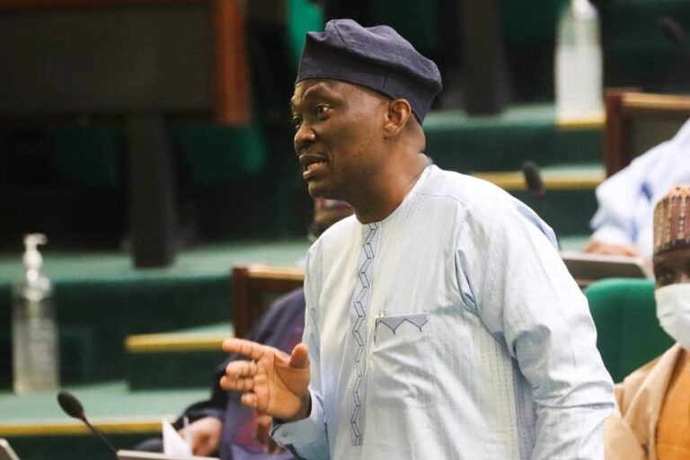 2023 Elections: Labour Party unseats Ndudi Elumelu, reps minority leader in Delta