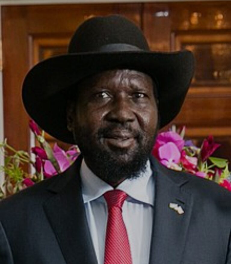 Two journalists released, two still detained over South Sudan president’s alleged public urination video