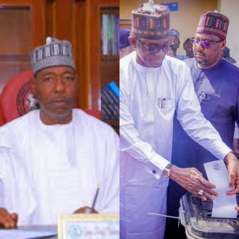 Governors Zulum, Buni vote at polling units, commend INEC for smooth process