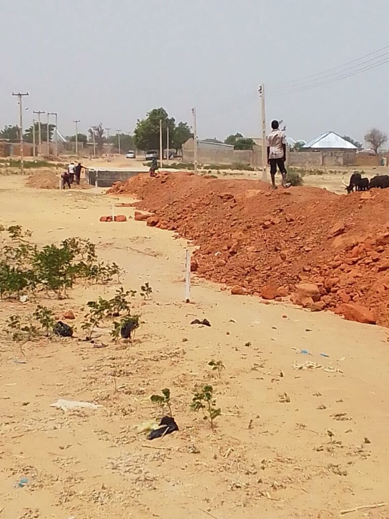 Yobe residents laud Gov. Buni for timely intervention in flood-ravaged areas