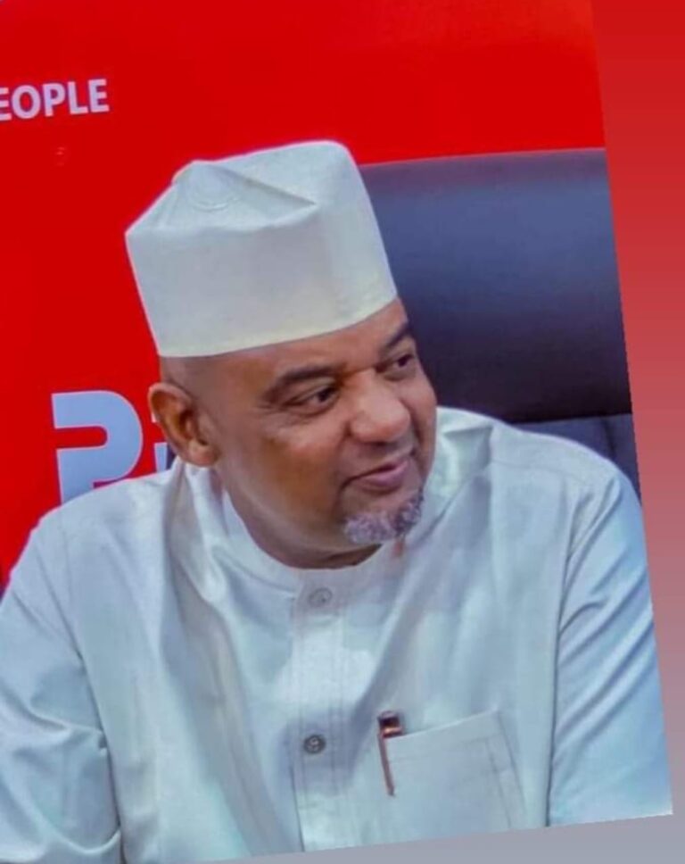 Acting National Chairman of the People’s Democratic Party (PDP), Ambassador Umar Iliya Damagun and the herculean task before him, by Dr Aminu Salihu Yakudima