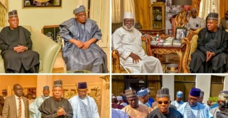 VP-elect, Shettima, meets former heads of state, seeks their advice for next administration