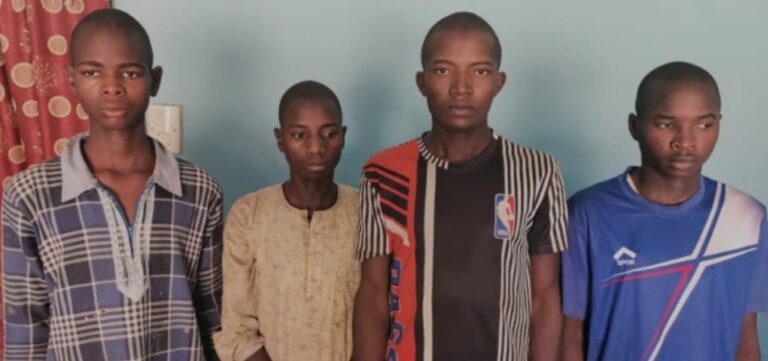 Four arrested in Bauchi for torturing suspected watermelon thief to death