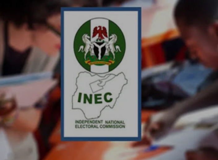 Aviation workers’ strike causes delay in Adamawa governorship election results – INEC