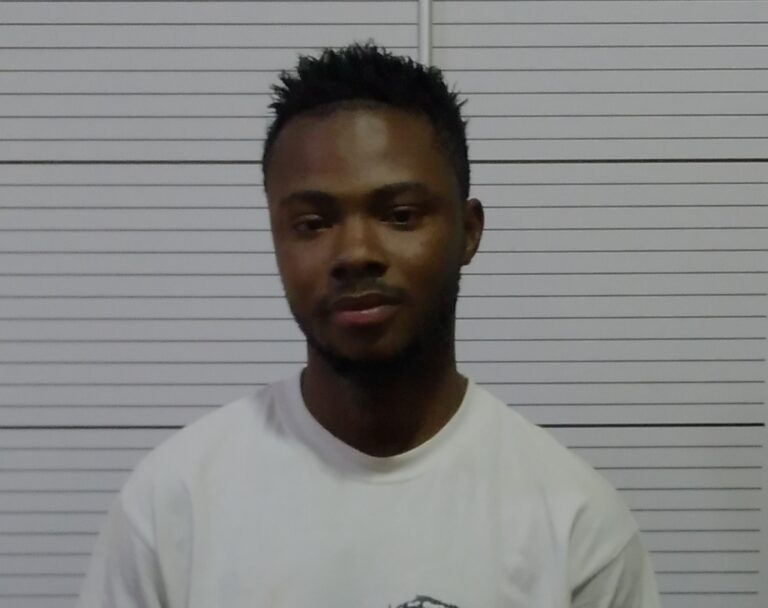 Ndubuka arraigned for scam, pretending as Caucasian gay man