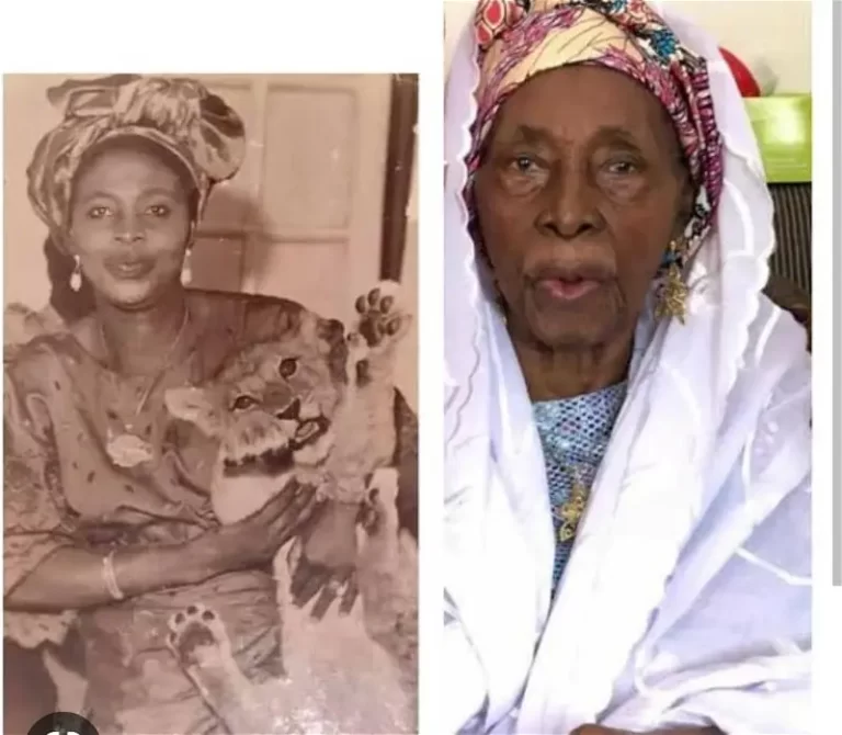 Pioneer First Lady of Kano, Hajiya Ladi Bako, dies at 93