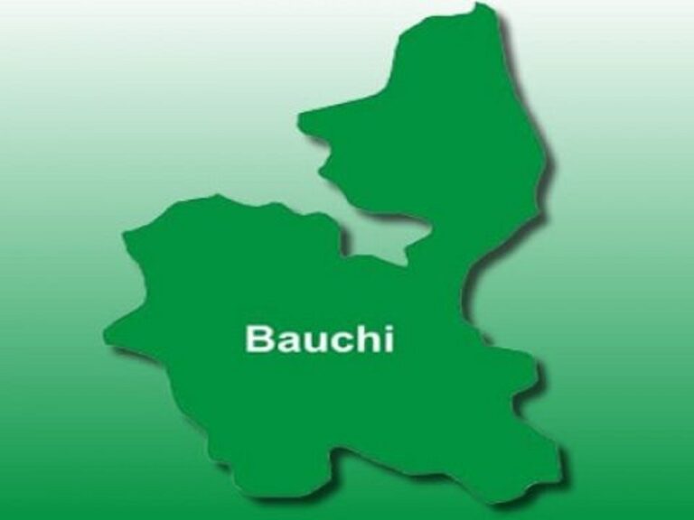 Bauchi lawmaker dies 3 days to end of tenure