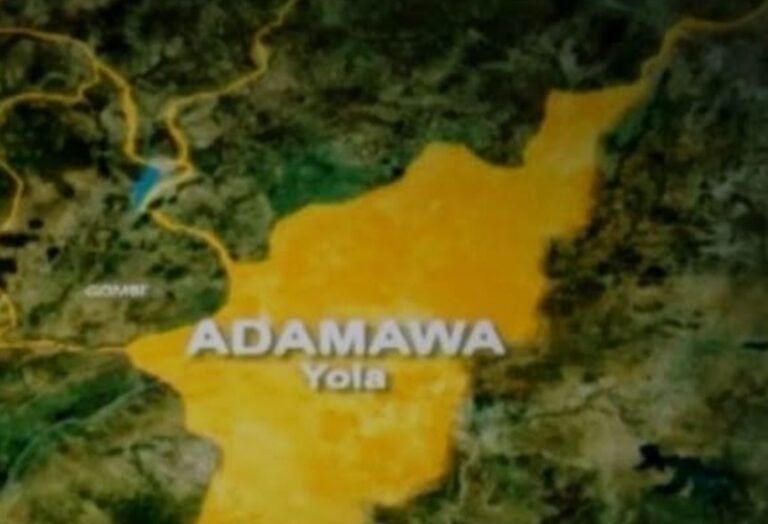 Police neutralize kidnappers in Adamawa, recover AK 47 rifles, ammunition