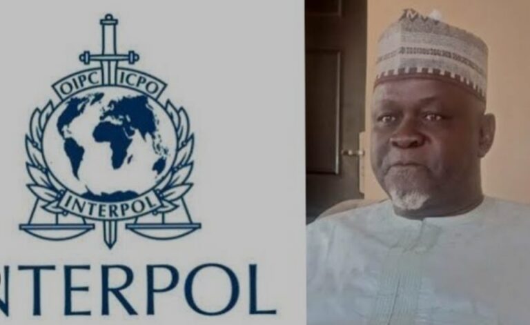 Adamawa Gubernatorial Election Rerun: Interpol invites INEC REC