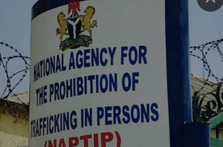 NAPTIP rescues 150 victims of human trafficking in Katsina