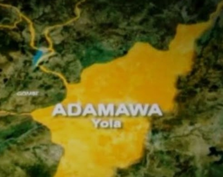 Imposter posing as minister’s son arrested for fraud in Adamawa