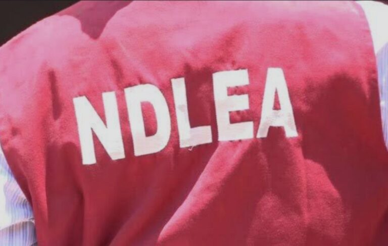 NDLEA apprehends Fentanyl syndicate in Anambra