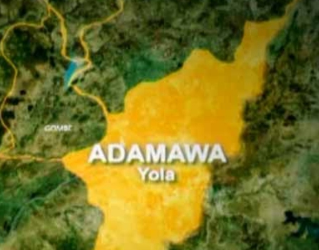 Adamawa Guber Election: CP faces disciplinary action for role in illegal declaration of results