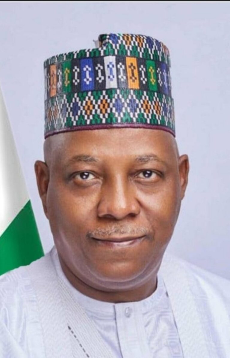 Shettima clarifies intentions behind support for Akpabio amid twisted allegations