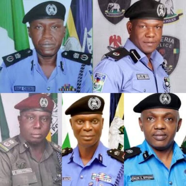 Police promote Ciroma, Mba to DIG, other senior officers