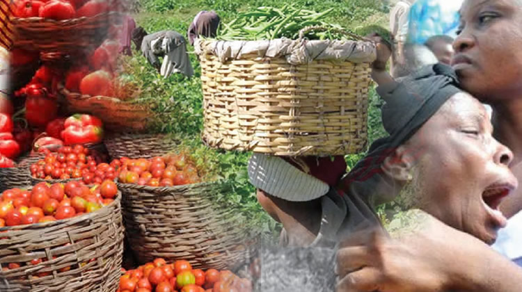 Subsidy removal: Food will be very expensive, say farmers