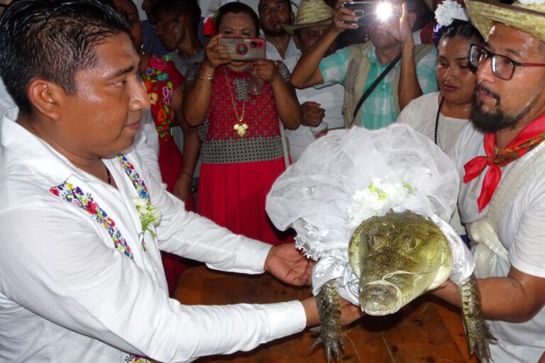 Mexican Mayor marries female reptile, claims true love (Photos)