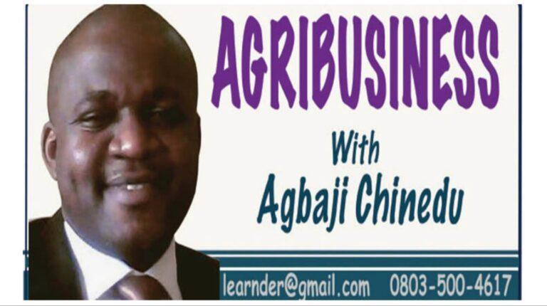 Agri e-commerce agribusiness opportunities (e-marketing), by Agbaji Chinedu