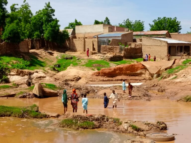 How erosion jeopardizes lives of Gada residents in Potiskum