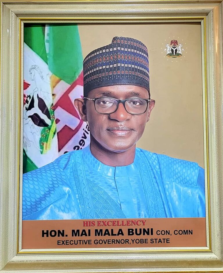 Gov. Buni unveils great portrait for second tenure