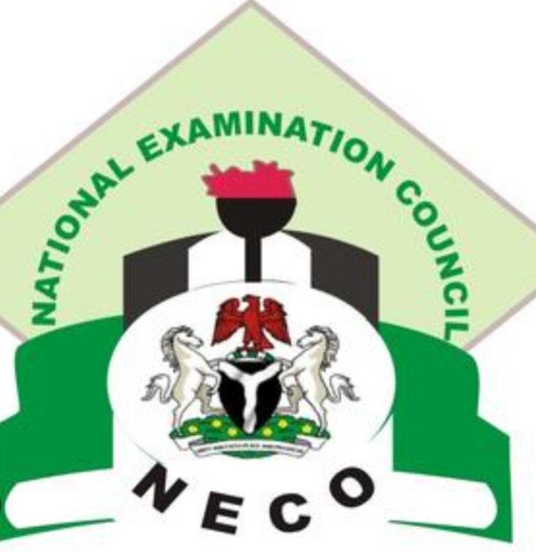 NECO launches innovative e-portal for rapid results verification