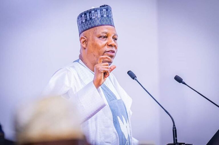 Vice president Shettima appeals to ex-senators to support President Tinubu