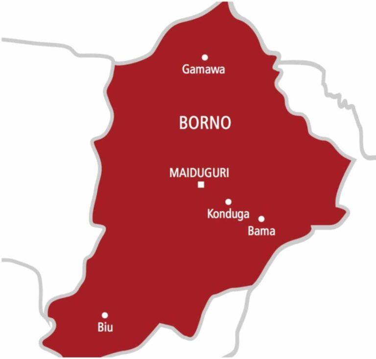 Boko Haram attack Borno LG, gun down 11 villagers