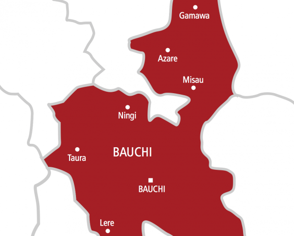 Bauchi records 26 deaths, 180 suspected cases of Diptheria