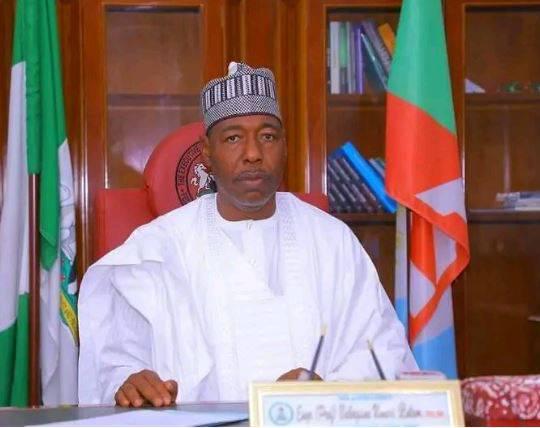 Mechanised agriculture, key to tackling food insecurity - Gov. Zulum