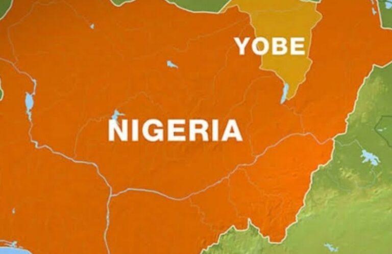 Yobe Security Sweep: Alcohol destroyed, 92 arrested