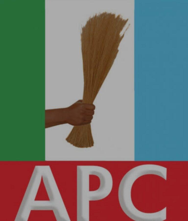 APC prepares to fill national chairmanship, secretary seats