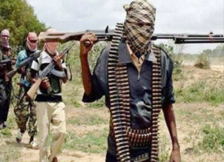 Kaduna farmer avenges children, kills bandit leader