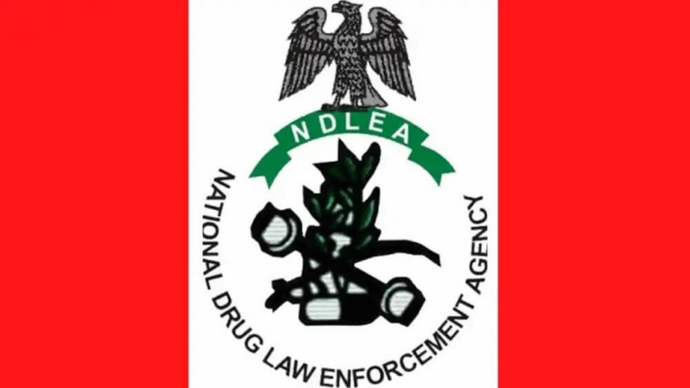 NDLEA and Buba Marwa’s burden, by Abiodun Komolafe