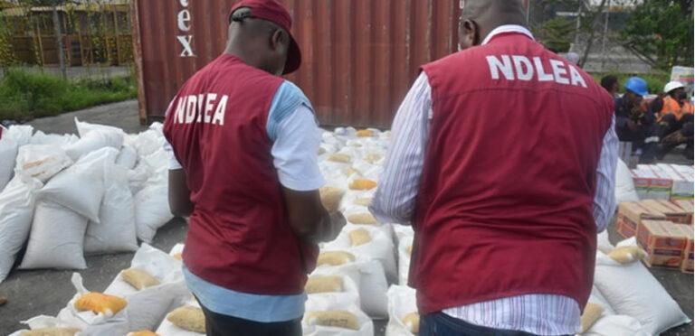 NDLEA in Kano arrests 198 suspects in drug joints, graveyards, recovers illicit substances