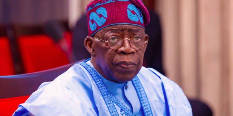 Niger Coup: We are dedicated to finding lasting solution - Tinubu