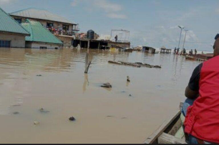 700 homes, farms in ruins as massive flood strikes Bauchi - SEMA