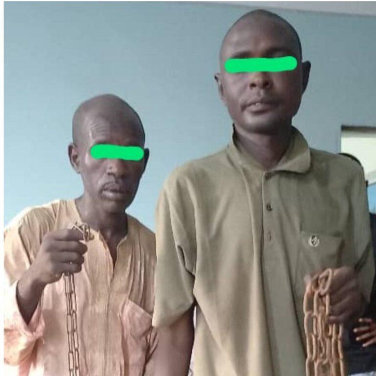 Yobe Police dislodge gang of kidnappers, rescue female victim