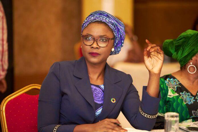 10 facts about minister-nominee Jamila Bio Ibrahim