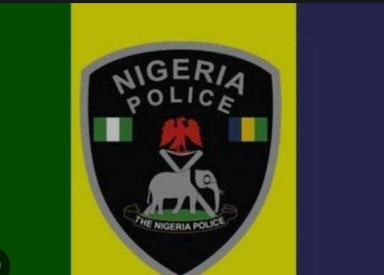 Kano police announce N1 million reward for capturing criminal duo