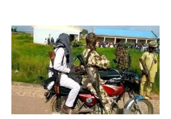 Terrorists kidnap 5 female students from Federal University of Katsina