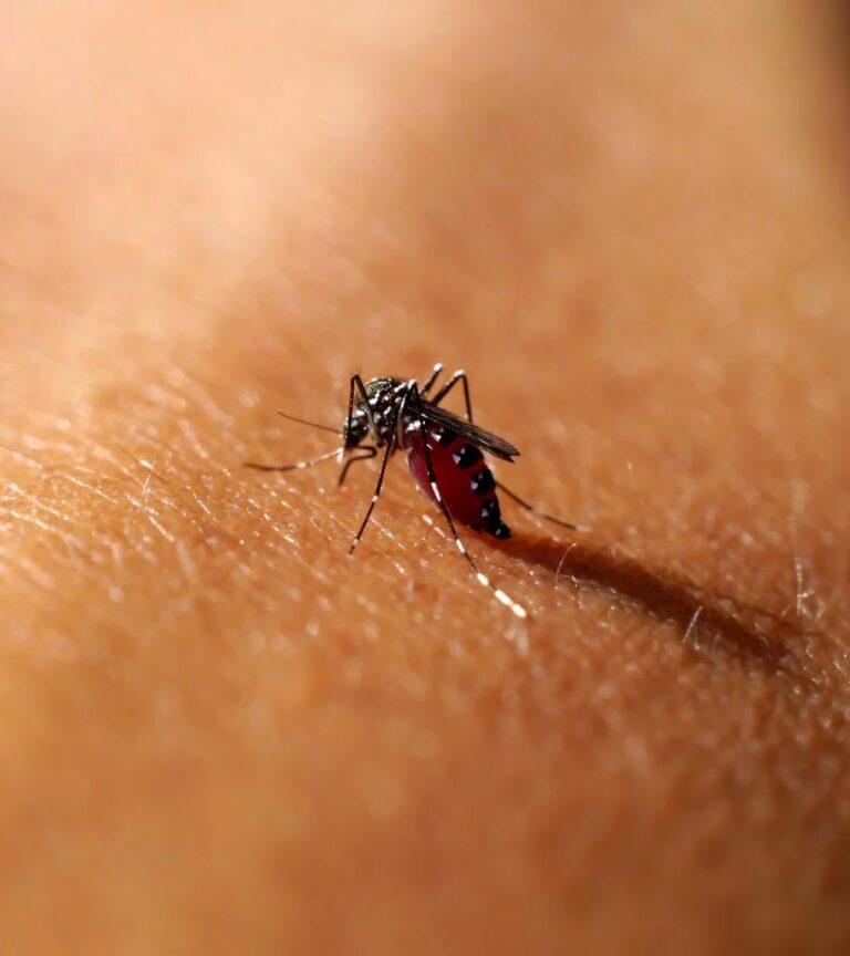 Gavi to prioritise Nigeria in new malaria vaccine rollout – FG