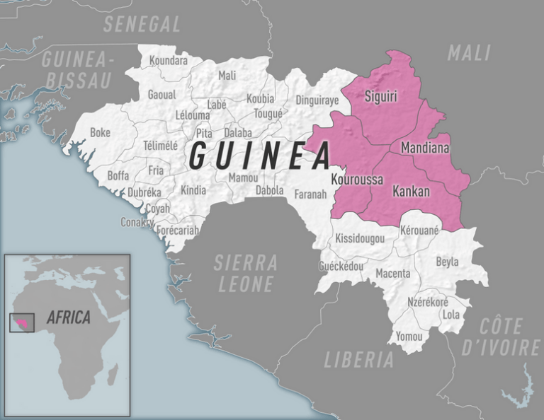 Guinea junta removes soldiers, officers following jailbreak of ex-dictator