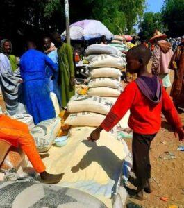 Damasak: From despair to hope, the tale of an agric town hit by Boko Haram, striving to get back on its feet